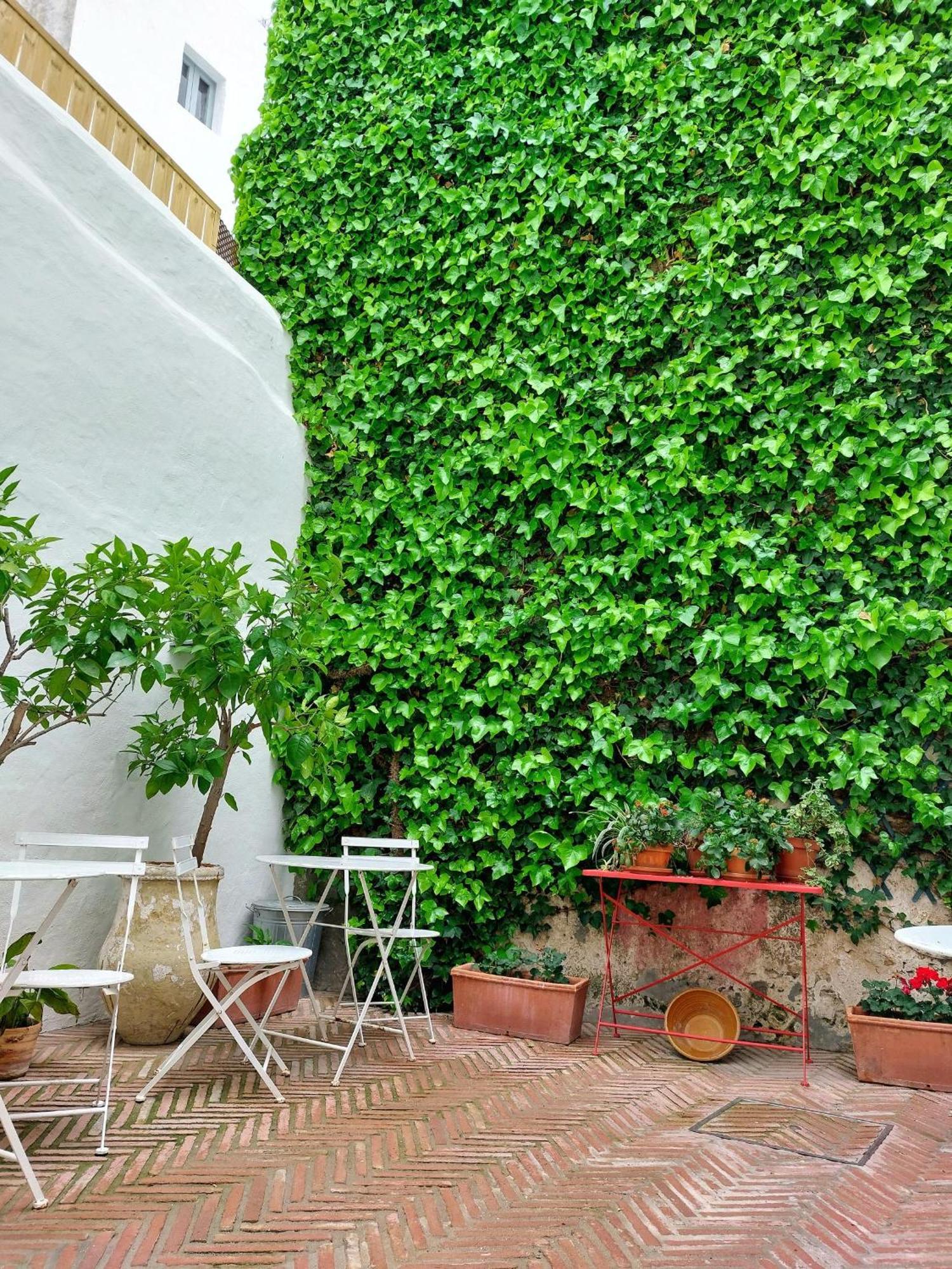 Casa Shelly Hospederia Hotel Vejer de la Frontera Eksteriør billede